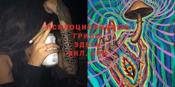 ПСИЛОЦИБИНОВЫЕ ГРИБЫ Балабаново
