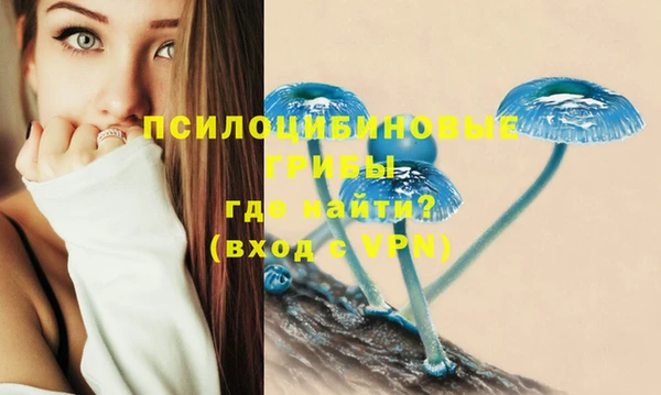 ПСИЛОЦИБИНОВЫЕ ГРИБЫ Балабаново