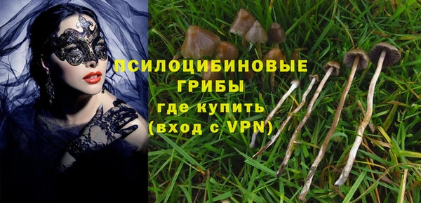 ПСИЛОЦИБИНОВЫЕ ГРИБЫ Балабаново
