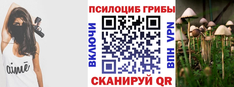 Галлюциногенные грибы Psilocybe  наркотики  Красный Холм 